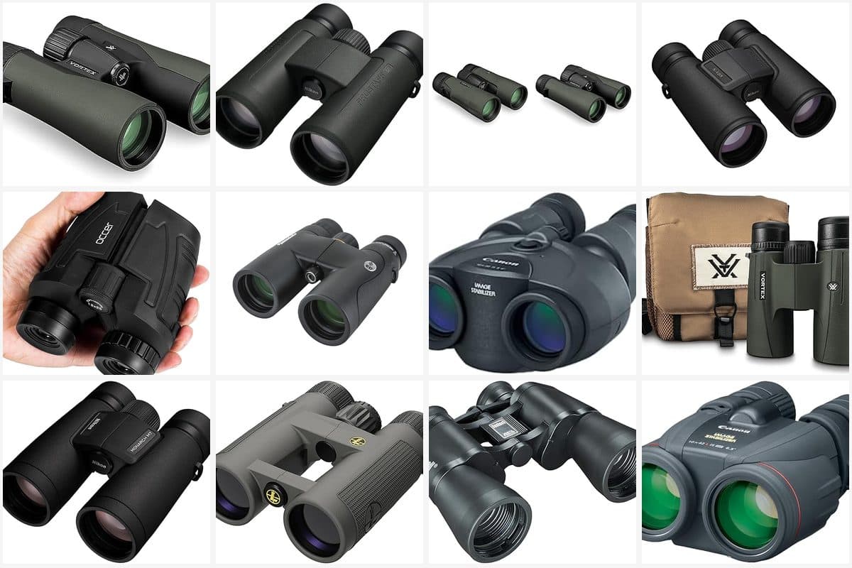 Collection of binoculars for airshow viewing