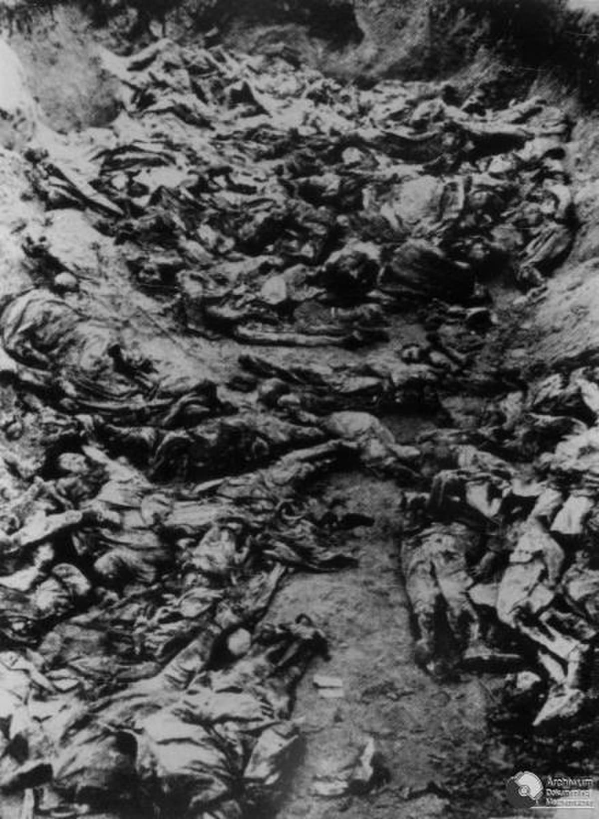 Exhumation of Polish officers' remains at the Katyn forest massacre site, 1943