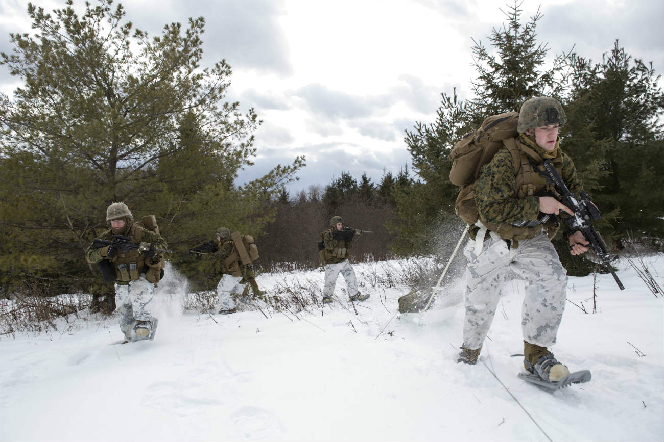 Canadian Armed Forces images through snow