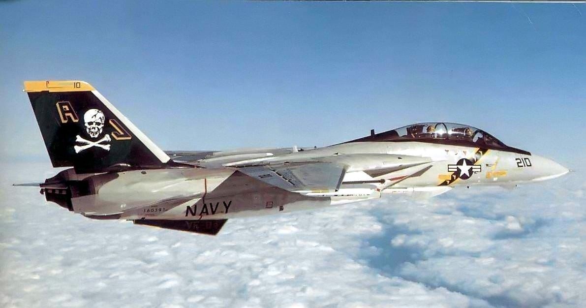 most expensive military jets, F-14