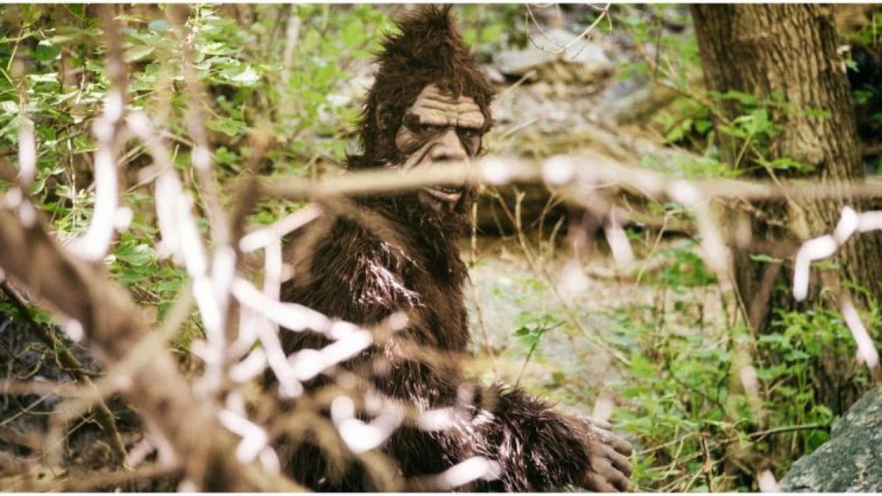 vietnam rock ape